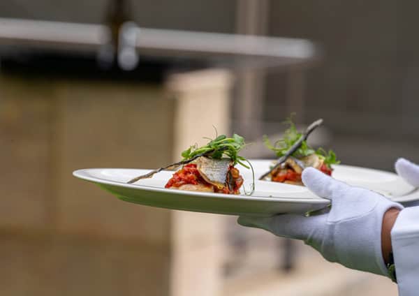 rational, presentacion alimento