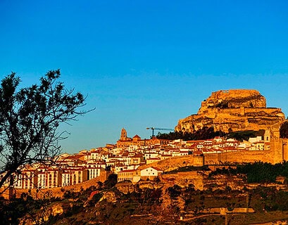 morella