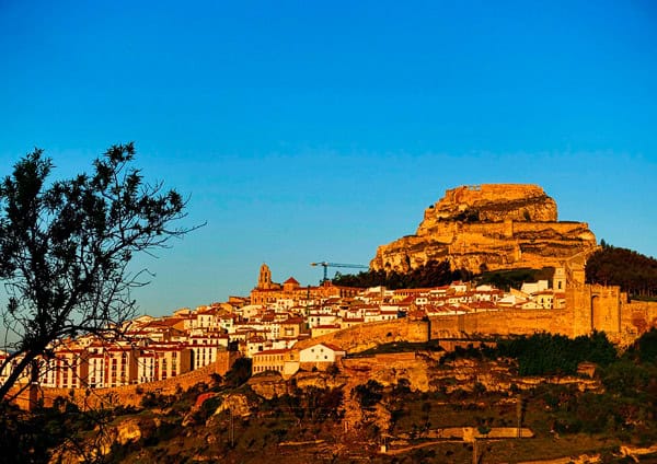 morella