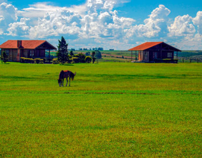 Hoteles con granja