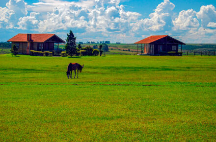 Hoteles con granja