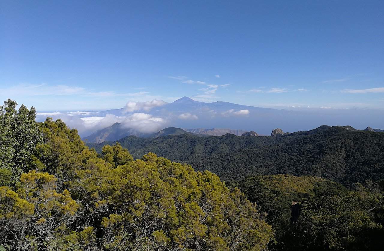 Parque Nacional de Garajonay (La Gomera)