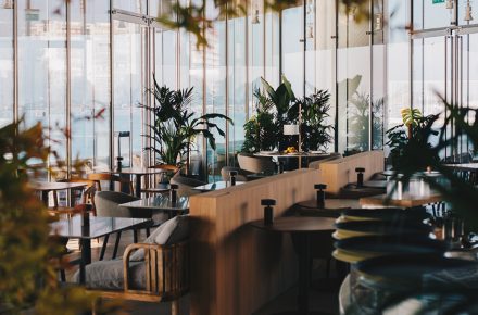Cafetería del Centro Botín, Santander. Sandra Tarruella Interioristas