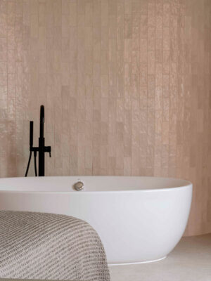 Proyecto de Denys & von Arend