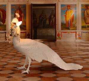 Neo-Surrealismo