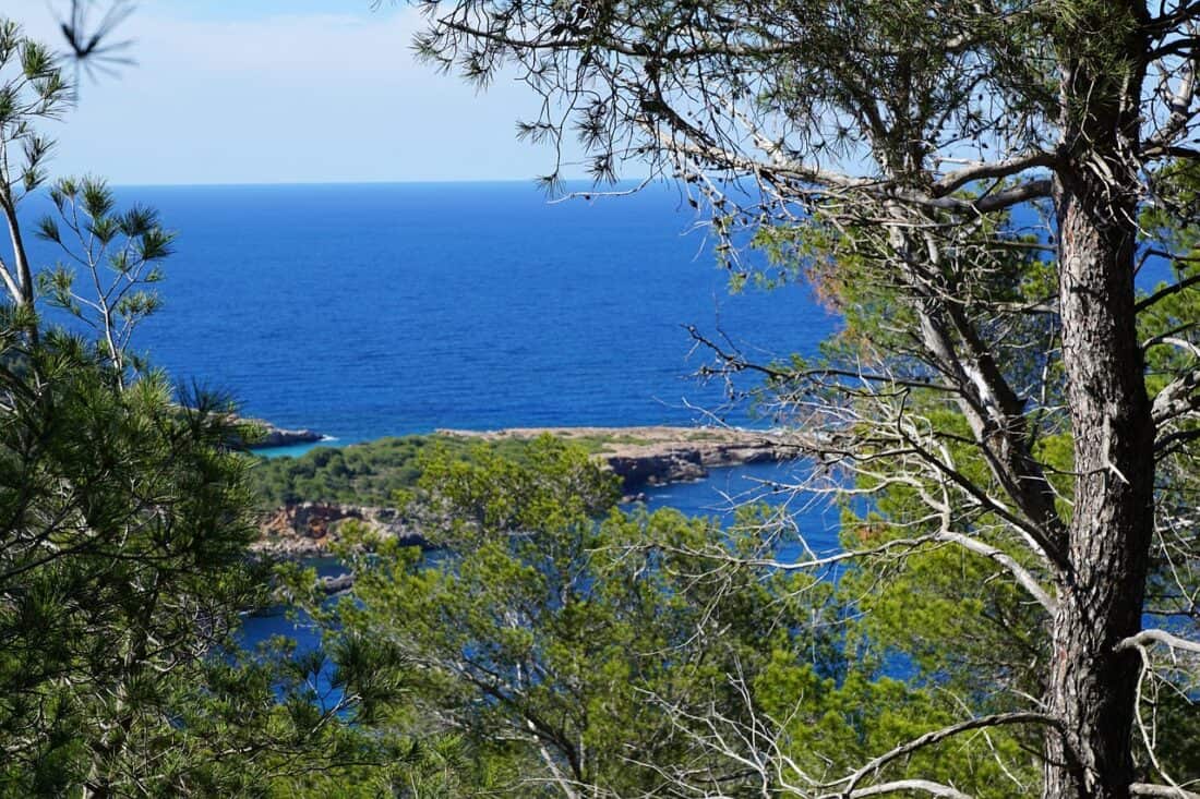 IBIZA