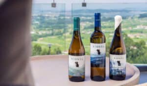 Bodegas Vionta