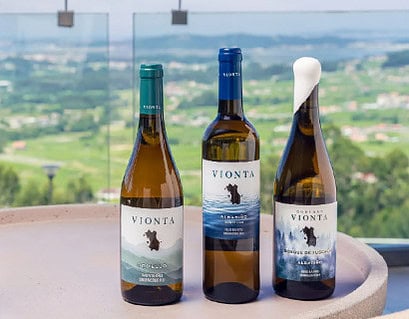 Bodegas Vionta