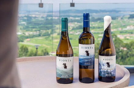 Bodegas Vionta