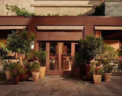ESCA