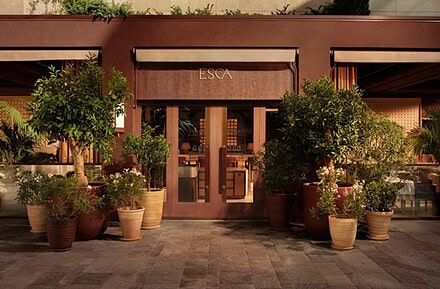 ESCA