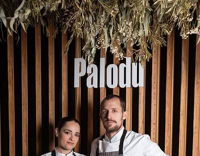 palodú