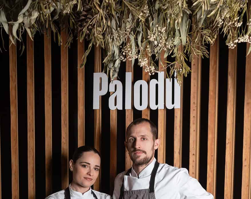 palodú