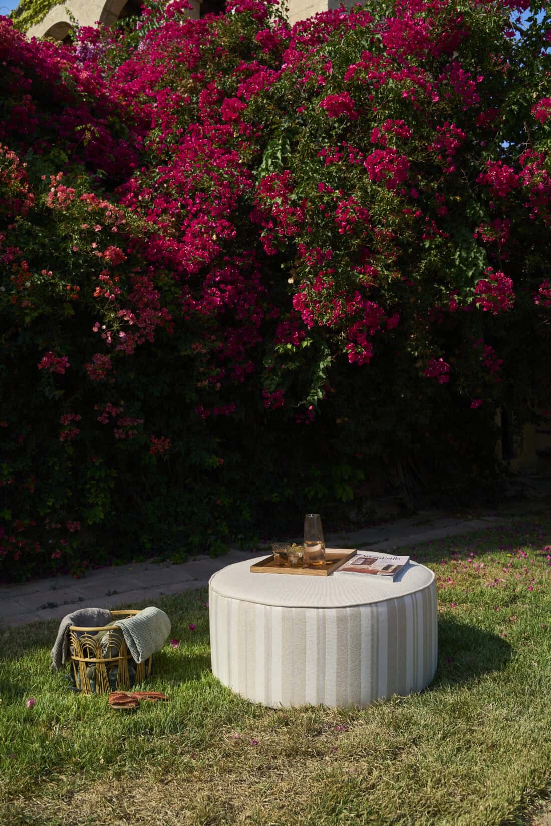 Vera ambient